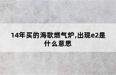 14年买的海歌燃气炉,出现e2是什么意思