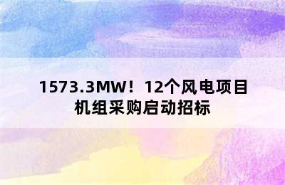 1573.3MW！12个风电项目机组采购启动招标