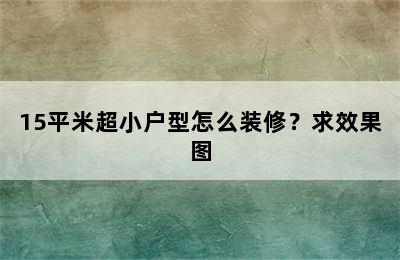 15平米超小户型怎么装修？求效果图