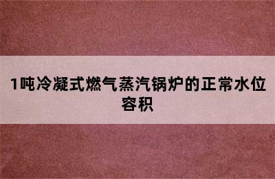 1吨冷凝式燃气蒸汽锅炉的正常水位容积