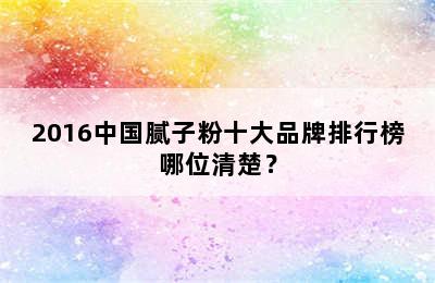 2016中国腻子粉十大品牌排行榜哪位清楚？