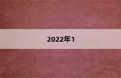 2022年1