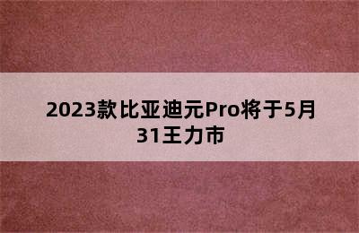 2023款比亚迪元Pro将于5月31王力市