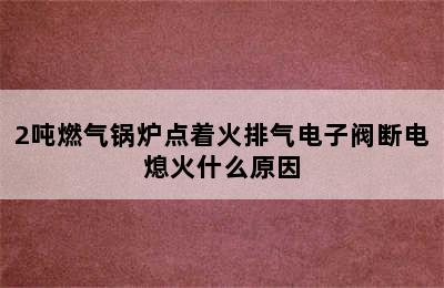 2吨燃气锅炉点着火排气电子阀断电熄火什么原因