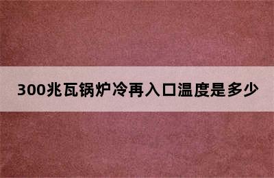 300兆瓦锅炉冷再入口温度是多少