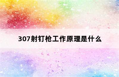 307射钉枪工作原理是什么