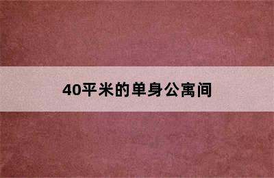 40平米的单身公寓间