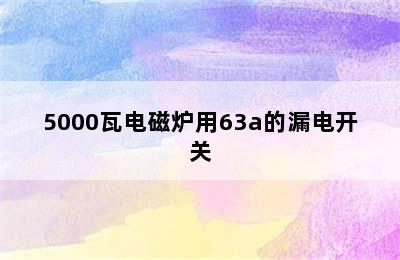 5000瓦电磁炉用63a的漏电开关