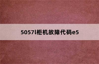 5057l柜机故障代码e5