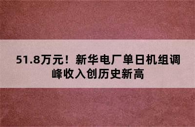 51.8万元！新华电厂单日机组调峰收入创历史新高