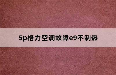 5p格力空调故障e9不制热