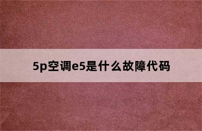 5p空调e5是什么故障代码