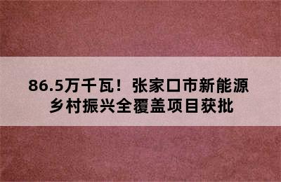 86.5万千瓦！张家口市新能源+乡村振兴全覆盖项目获批