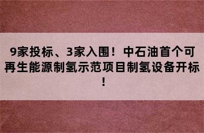 9家投标、3家入围！中石油首个可再生能源制氢示范项目制氢设备开标！