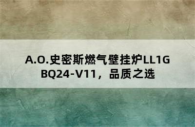 A.O.史密斯燃气壁挂炉LL1GBQ24-V11，品质之选