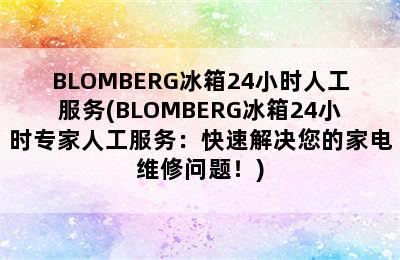 BLOMBERG冰箱24小时人工服务(BLOMBERG冰箱24小时专家人工服务：快速解决您的家电维修问题！)