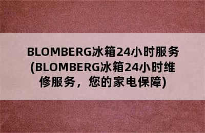 BLOMBERG冰箱24小时服务(BLOMBERG冰箱24小时维修服务，您的家电保障)