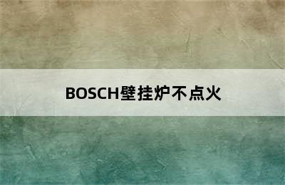 BOSCH壁挂炉不点火