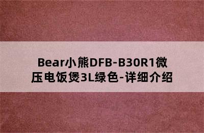 Bear小熊DFB-B30R1微压电饭煲3L绿色-详细介绍