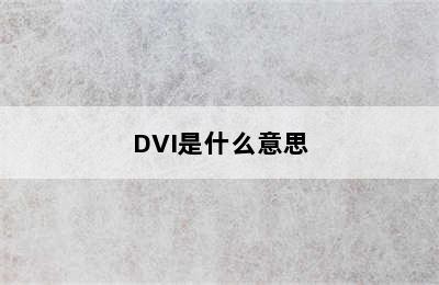 DVI是什么意思