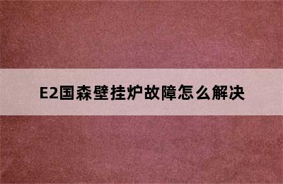 E2国森壁挂炉故障怎么解决