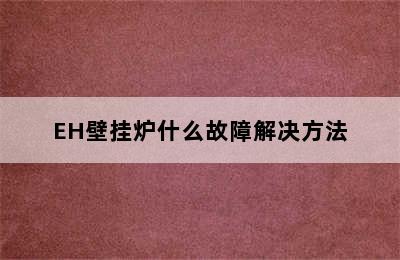 EH壁挂炉什么故障解决方法