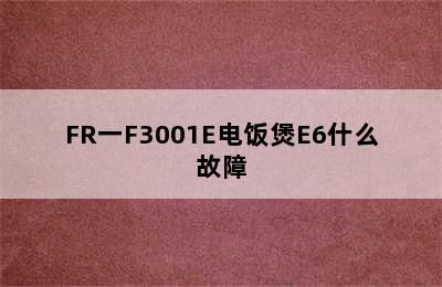 FR一F3001E电饭煲E6什么故障