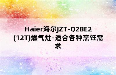 Haier海尔JZT-Q2BE2(12T)燃气灶-适合各种烹饪需求