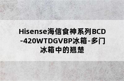 Hisense海信食神系列BCD-420WTDGVBP冰箱-多门冰箱中的翘楚