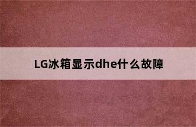 LG冰箱显示dhe什么故障