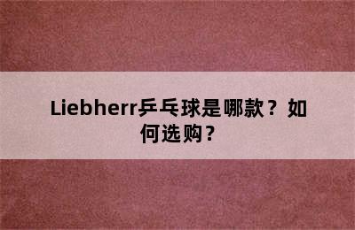 Liebherr乒乓球是哪款？如何选购？