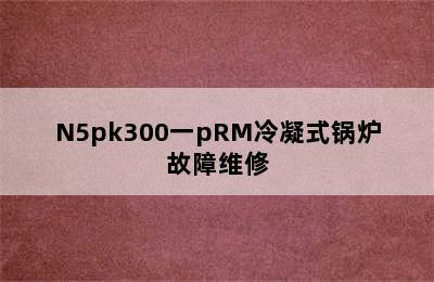 N5pk300一pRM冷凝式锅炉故障维修