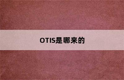 OTIS是哪来的