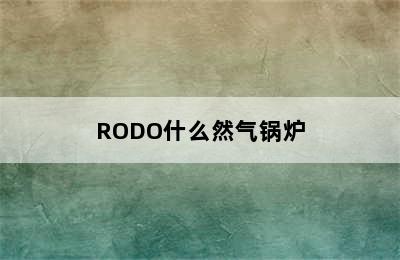 RODO什么然气锅炉