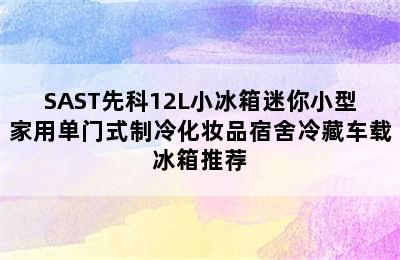 SAST先科12L小冰箱迷你小型家用单门式制冷化妆品宿舍冷藏车载冰箱推荐