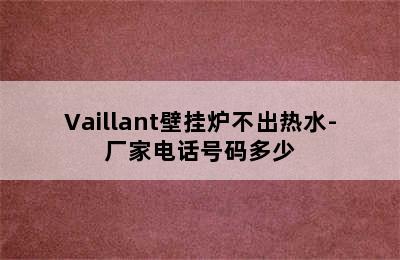 Vaillant壁挂炉不出热水-厂家电话号码多少