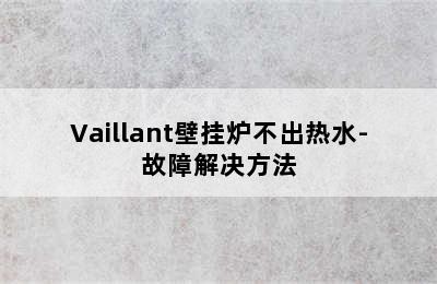 Vaillant壁挂炉不出热水-故障解决方法