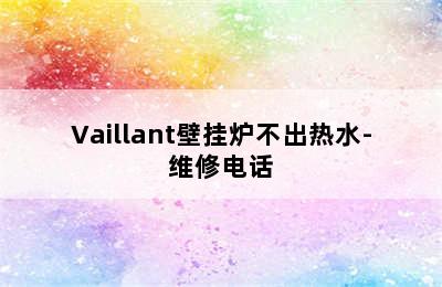 Vaillant壁挂炉不出热水-维修电话