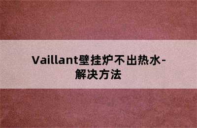 Vaillant壁挂炉不出热水-解决方法