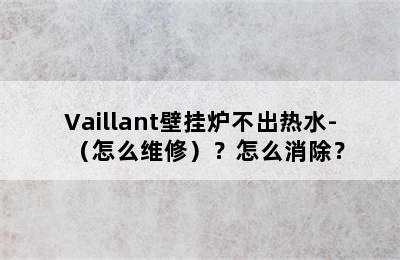 Vaillant壁挂炉不出热水-（怎么维修）？怎么消除？