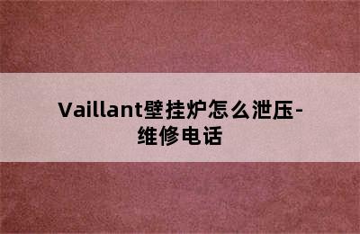 Vaillant壁挂炉怎么泄压-维修电话