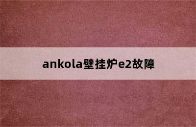 ankola壁挂炉e2故障