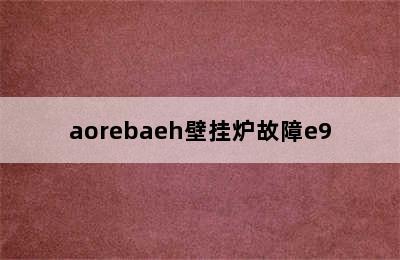 aorebaeh壁挂炉故障e9