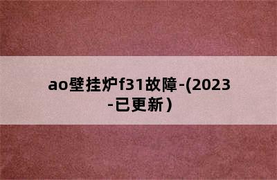 ao壁挂炉f31故障-(2023-已更新）