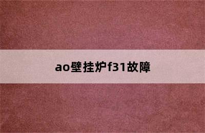 ao壁挂炉f31故障