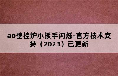 ao壁挂炉小扳手闪烁-官方技术支持（2023）已更新