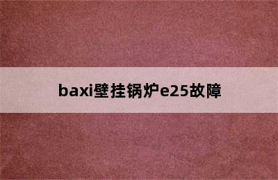 baxi壁挂锅炉e25故障