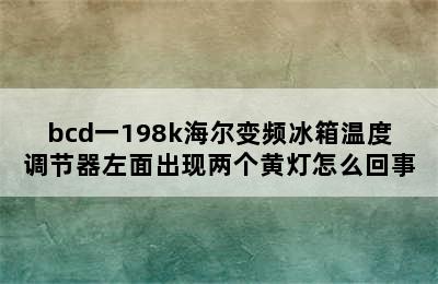 bcd一198k海尔变频冰箱温度调节器左面出现两个黄灯怎么回事