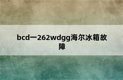 bcd一262wdgg海尔冰箱故障