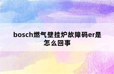 bosch燃气壁挂炉故障码er是怎么回事